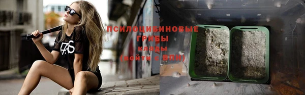 ешки Белокуриха