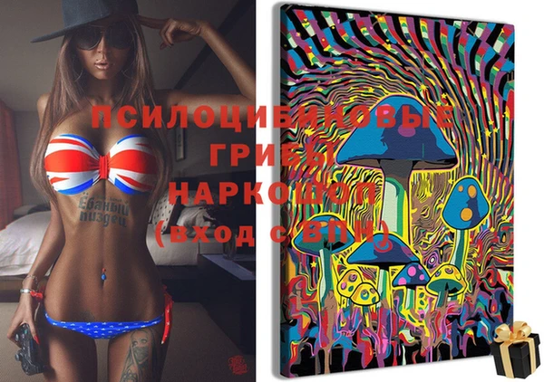 ПСИЛОЦИБИНОВЫЕ ГРИБЫ Белоозёрский