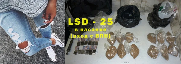 ПСИЛОЦИБИНОВЫЕ ГРИБЫ Белоозёрский