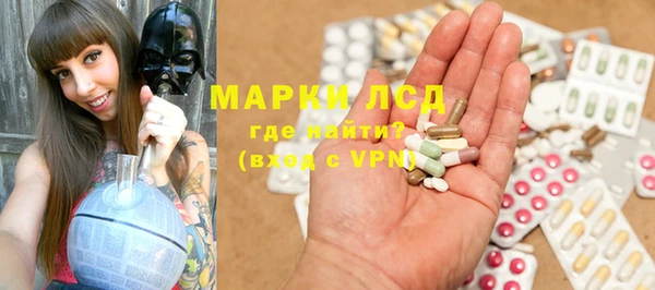 ПСИЛОЦИБИНОВЫЕ ГРИБЫ Белоозёрский