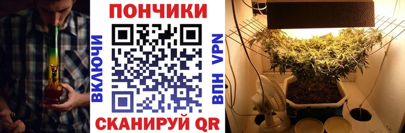 Шишки марихуана индика  гидра как зайти  площадка формула  Улан-Удэ 